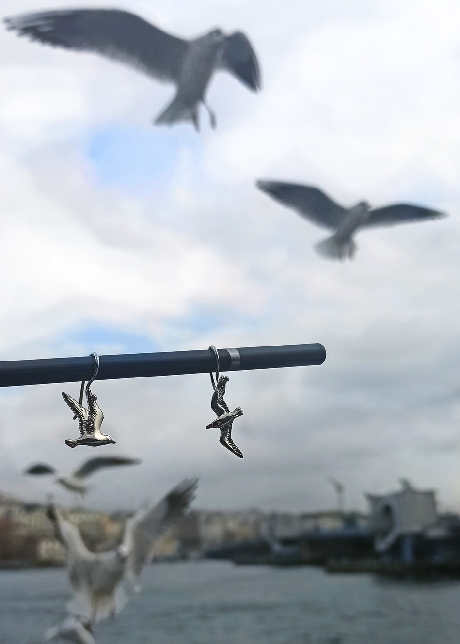 летящие чайки