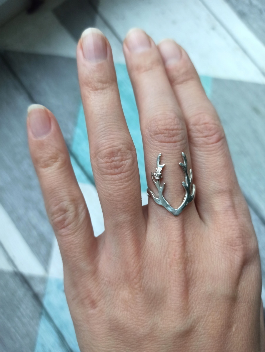 Описание изображения